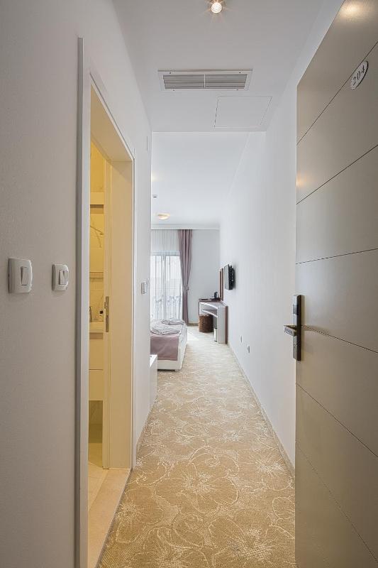 Standard Double Room image 3