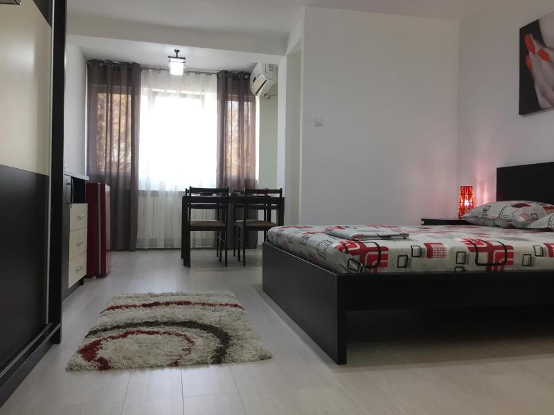 One-Bedroom Apartment image 4