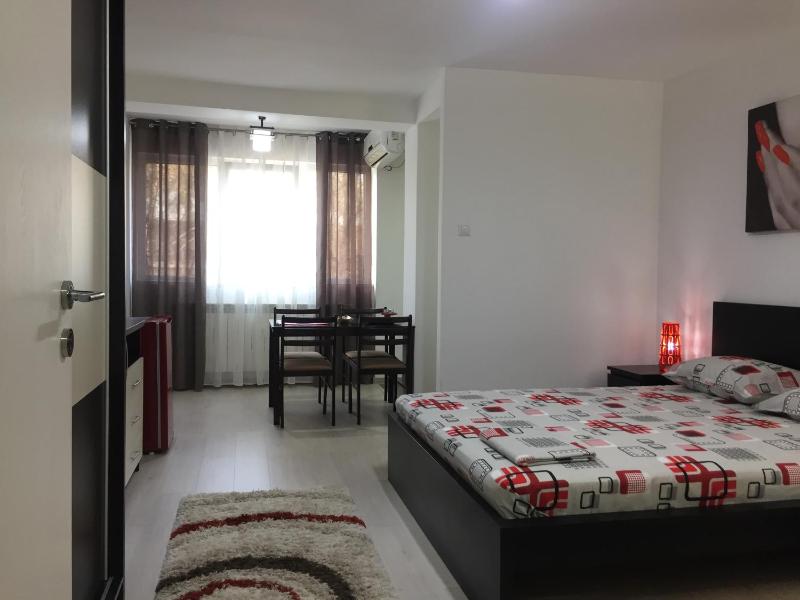 One-Bedroom Apartment image 3