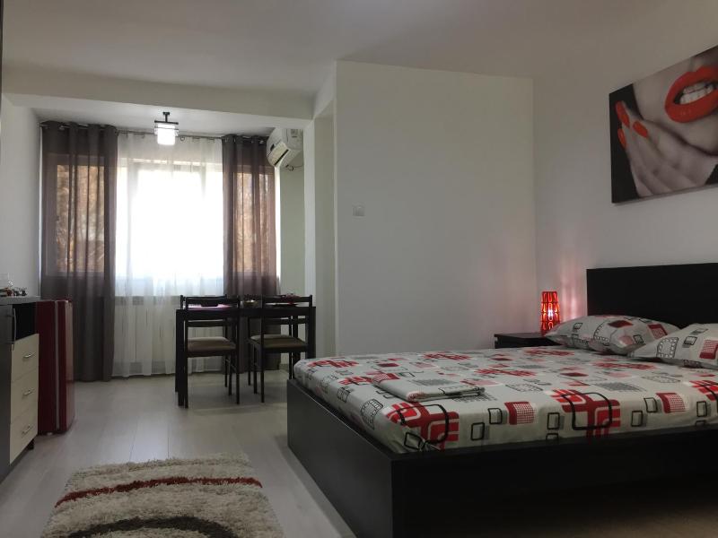 One-Bedroom Apartment image 2