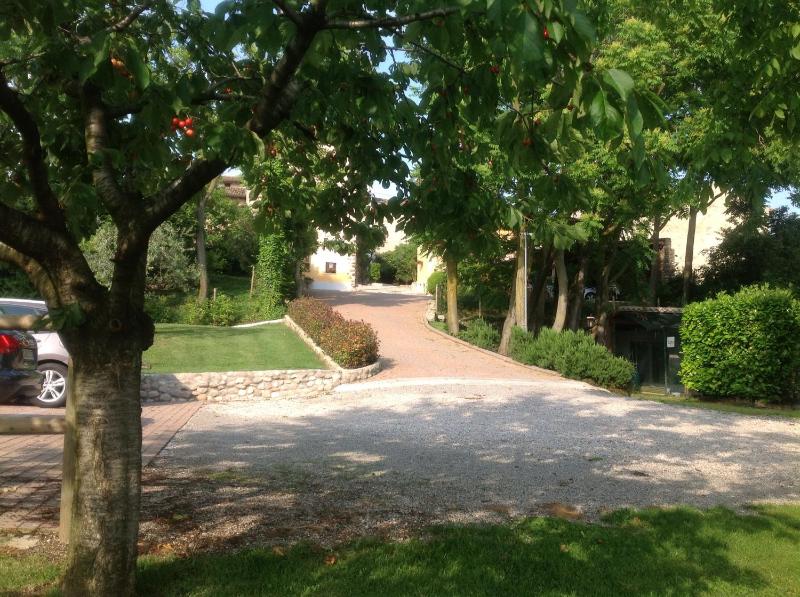 APPARTAMENTO CASA VACANZA AGRITURISMO BORGO di CALMASINO - image 3