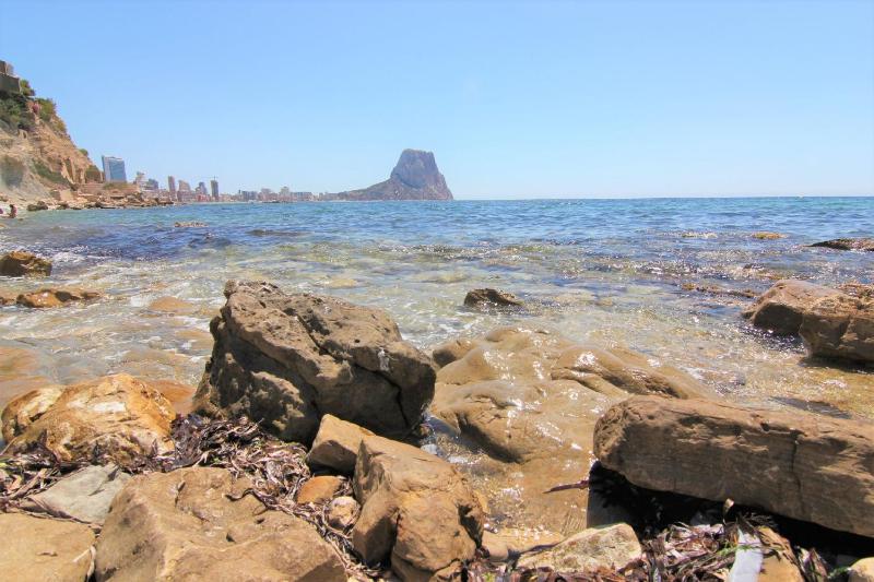 AMIBARCO - image 11