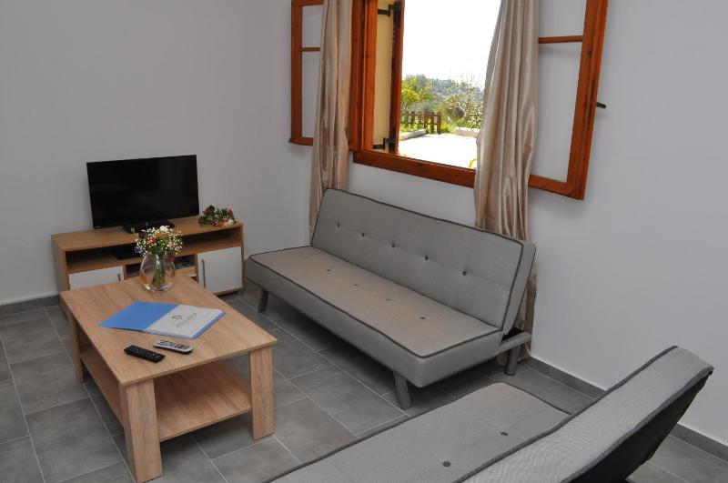 Polymnia Apartments Lassi - image 3