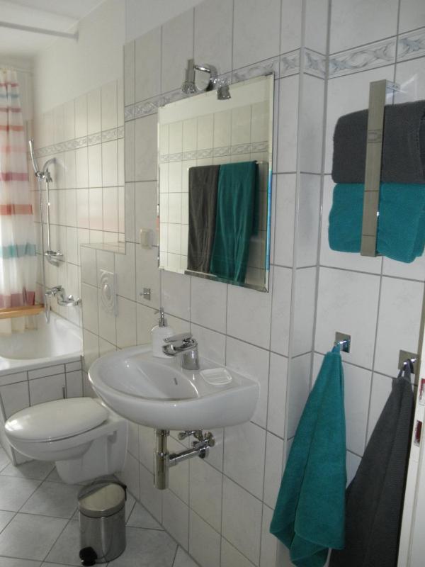 One Bedroom Apartment image 2