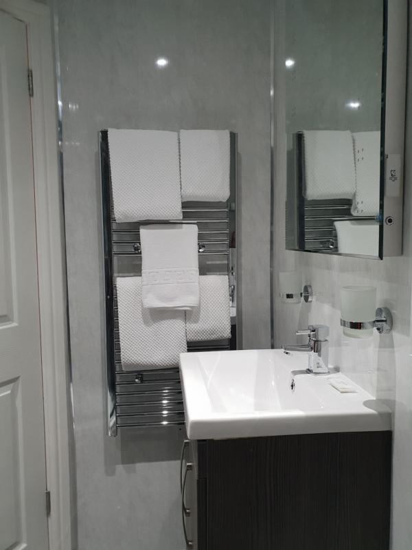 Deluxe Double Room image 3