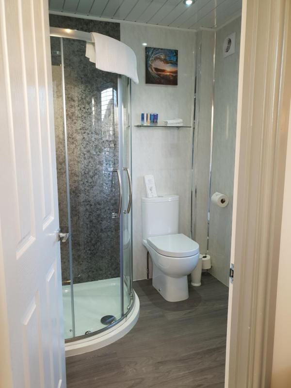 Deluxe King Suite image 2
