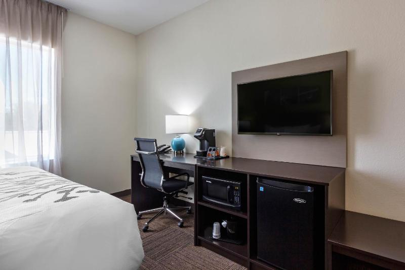 King Suite with Sofa Bed - Non-Smoking image 2