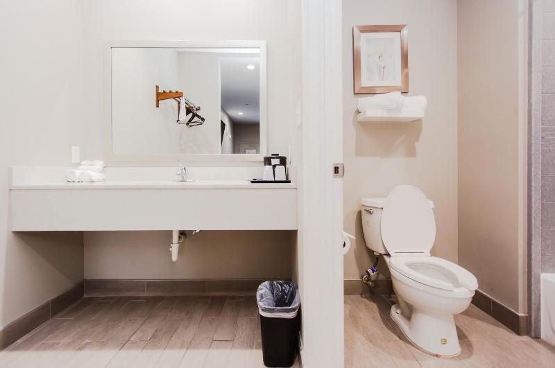 King Suite image 4