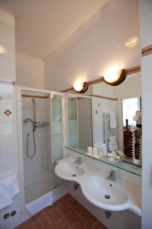 Double or Twin Room image 4