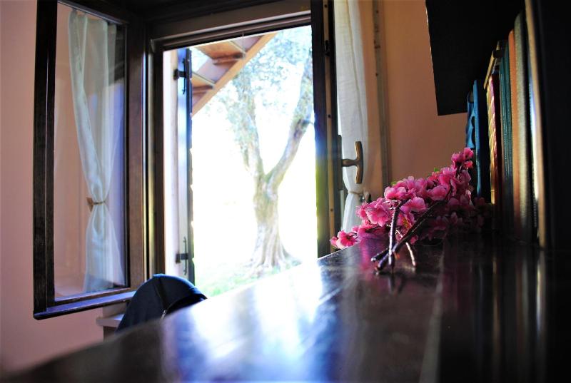 AGRITURISMO MELOGRANO D'ORO - image 11