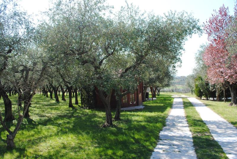 AGRITURISMO MELOGRANO D'ORO - image 45