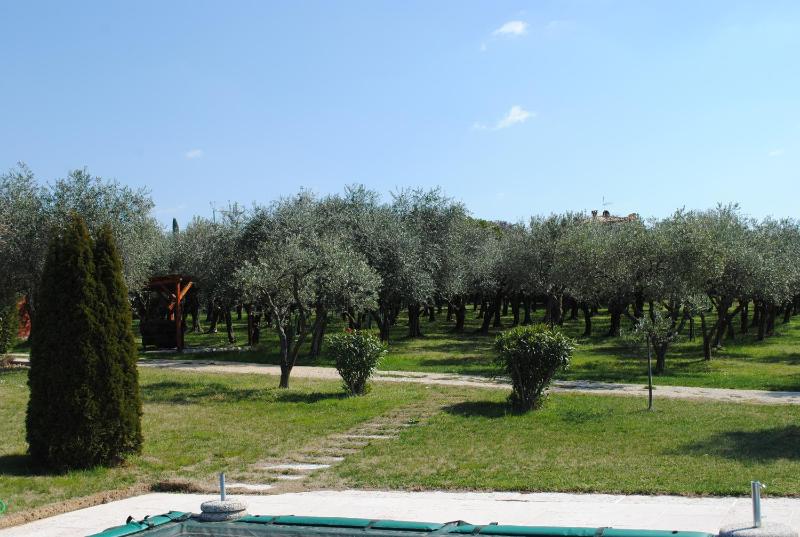 AGRITURISMO MELOGRANO D'ORO - image 39