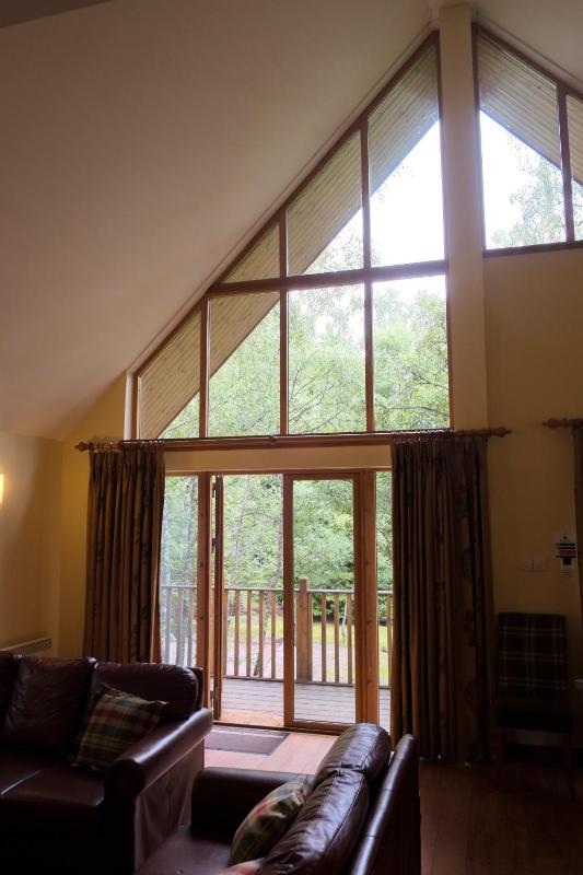 3 Bed Woodland Lodge image 2