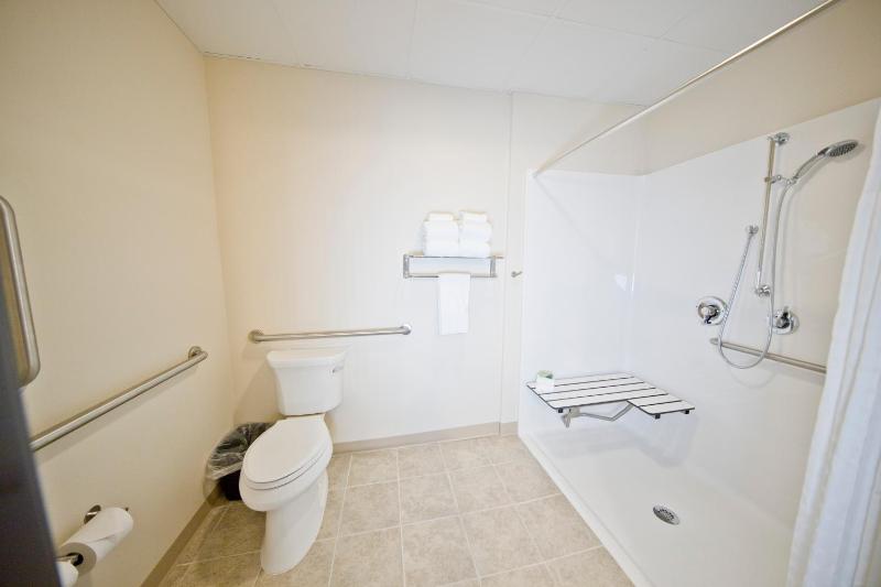 King Room with Roll-In Shower - Disability Access image 2