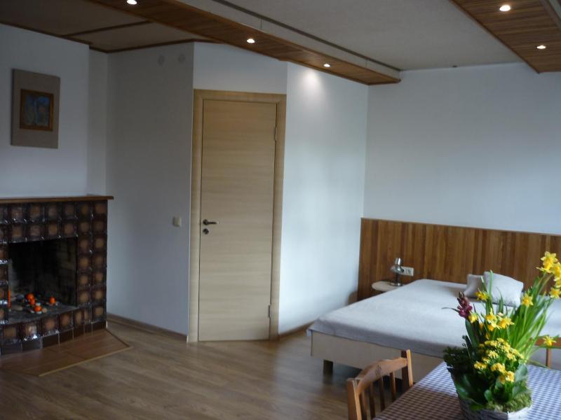 Large Double Room image 1