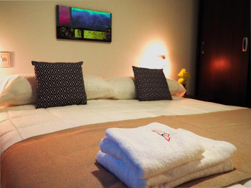 Umbral del Aconcagua - Apart Hotel - Mendoza - image 13