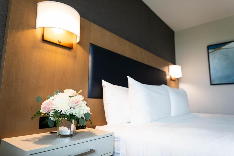 Standard King Room image 2