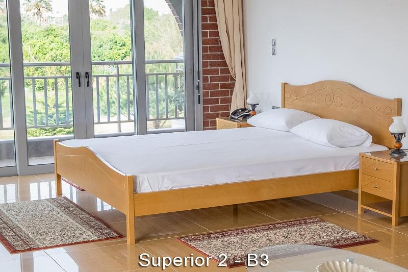 Ionion Star Hotel - image 27