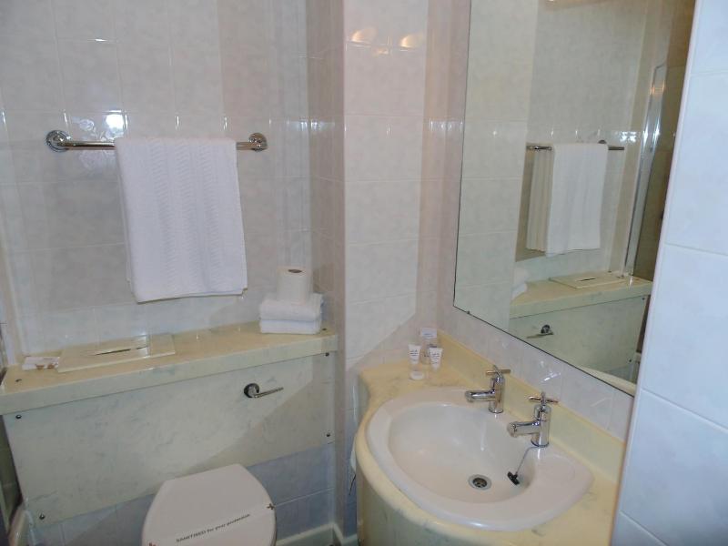Standard Twin Room image 4