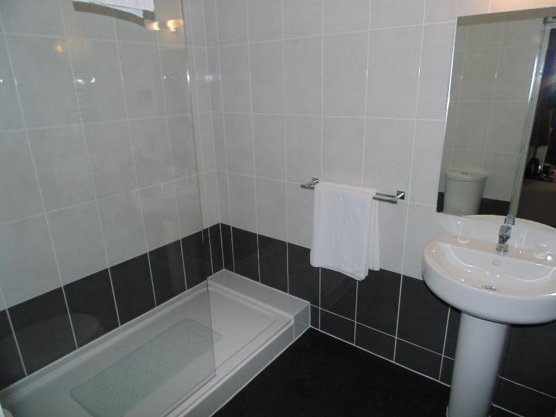 Standard Twin Room image 2