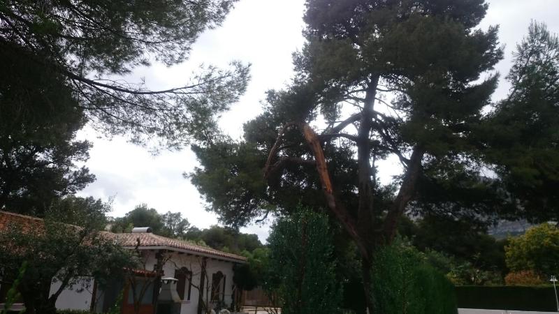 Villa Chabola - image 48
