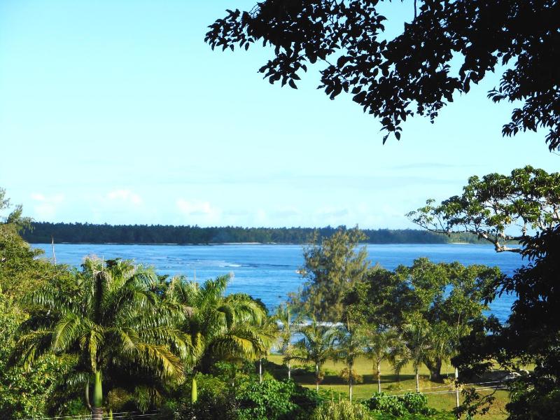 Treetops BnB & Bungalows - image 10