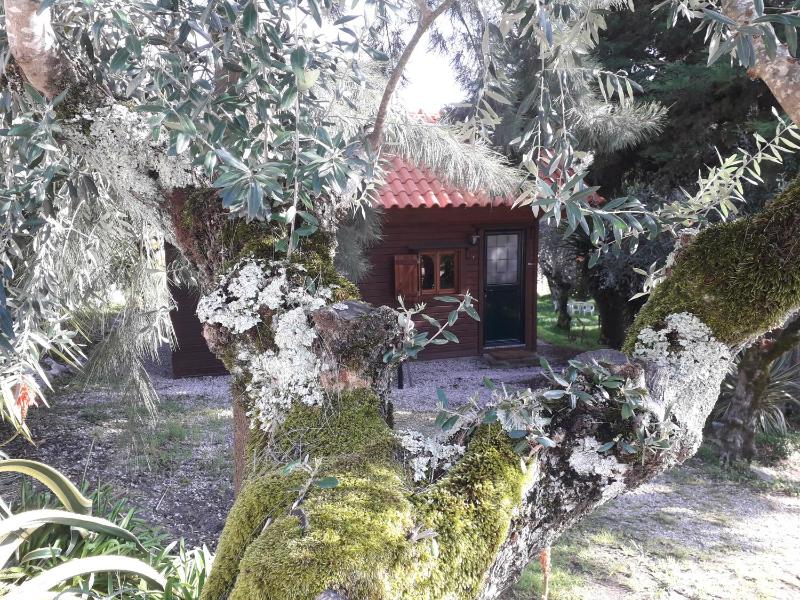 Two-Bedroom Bungalow image 4