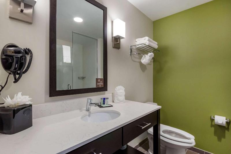 Sleep Inn & Suites Tampa South - image 38