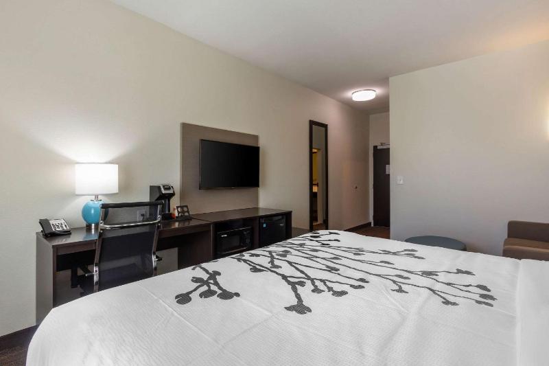 Sleep Inn & Suites Tampa South - image 27