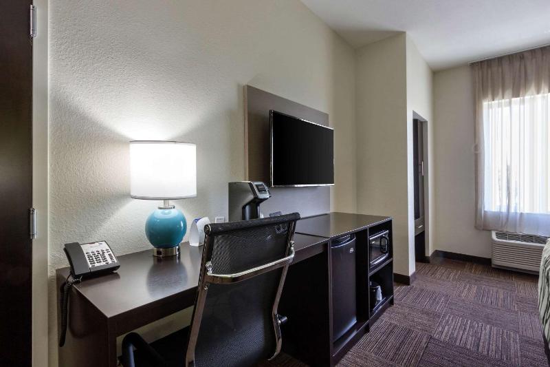 Sleep Inn & Suites Tampa South - image 47