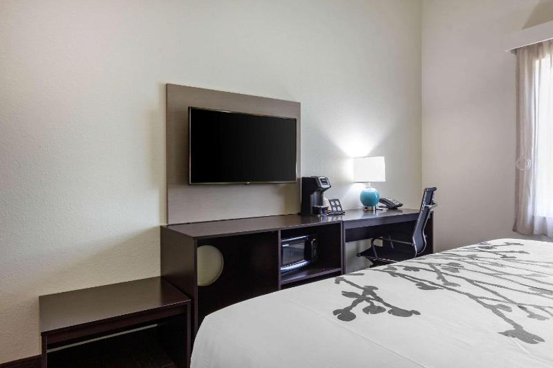 Sleep Inn & Suites Tampa South - image 37