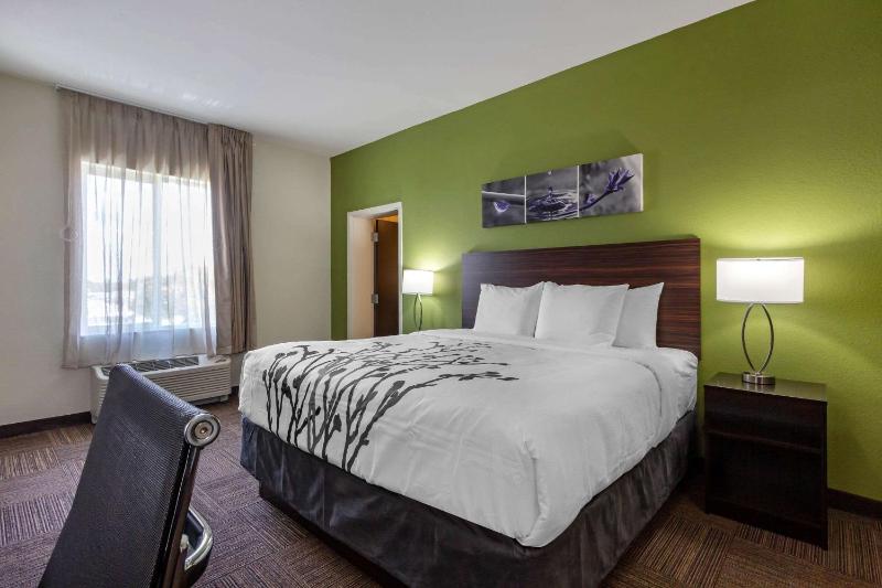 Sleep Inn & Suites Tampa South - image 43