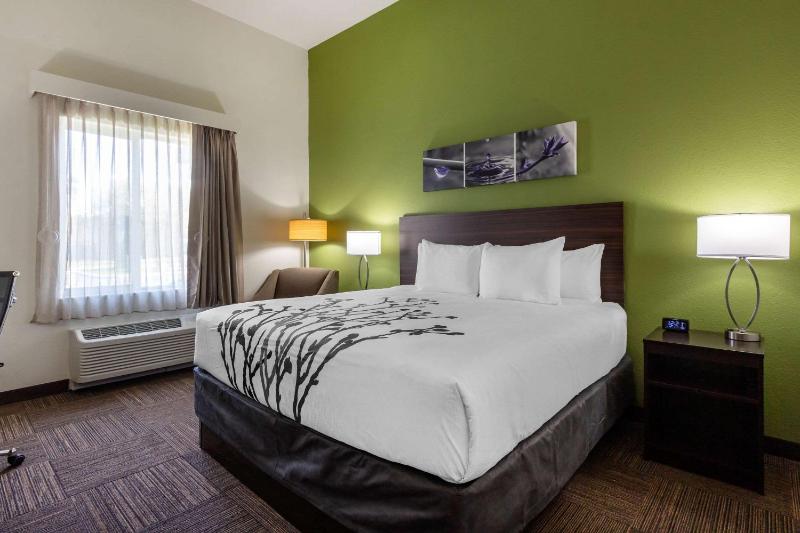 Sleep Inn & Suites Tampa South - image 30