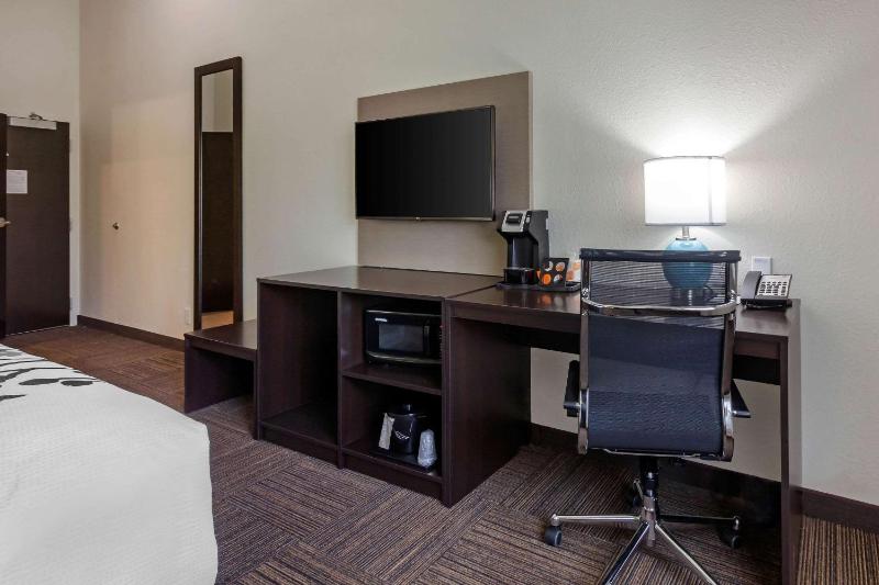 Sleep Inn & Suites Tampa South - image 42