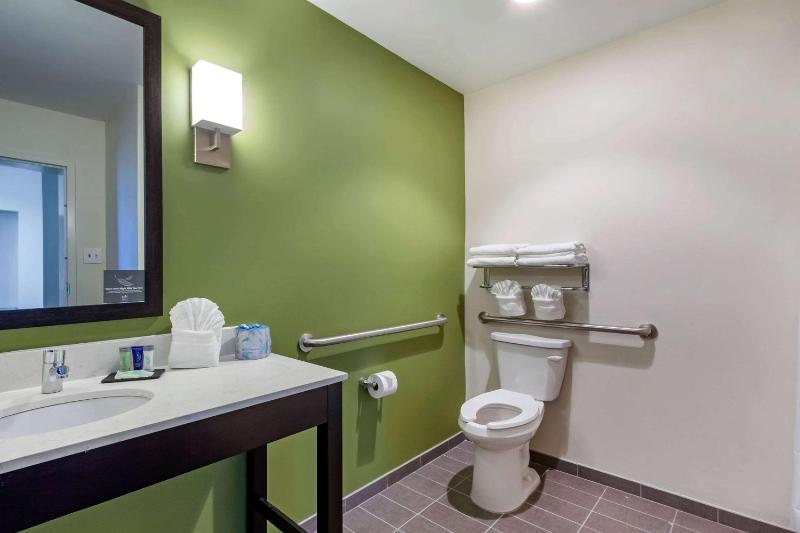 Sleep Inn & Suites Tampa South - image 6