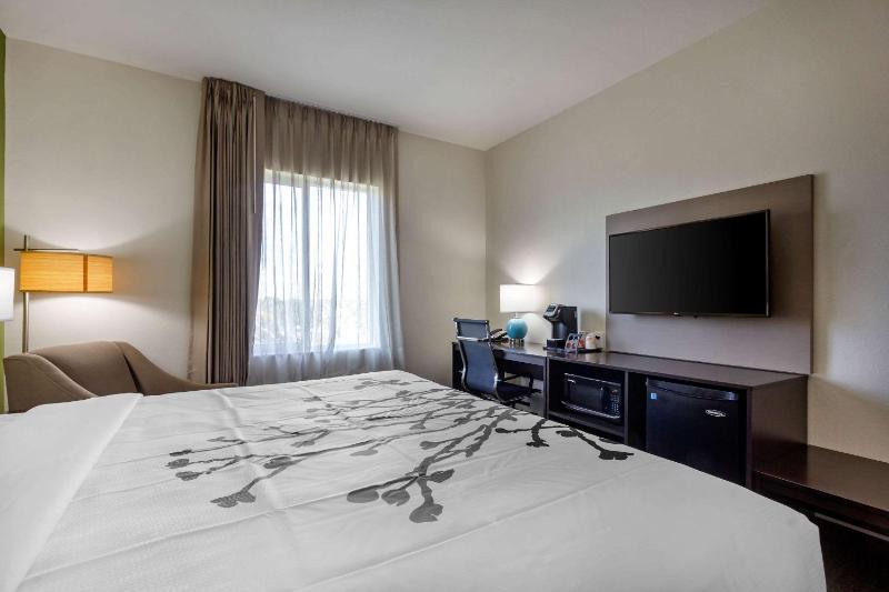 Sleep Inn & Suites Tampa South - image 40