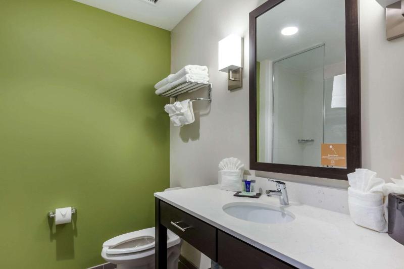 Sleep Inn & Suites Tampa South - image 48