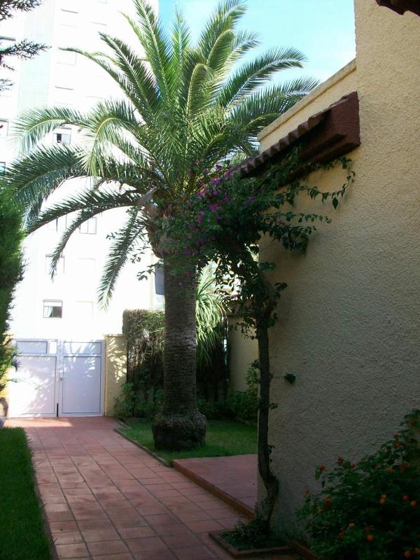 VILLA DEL DUQUE GANDIA - ( Alquielr solo Familias ) - image 30