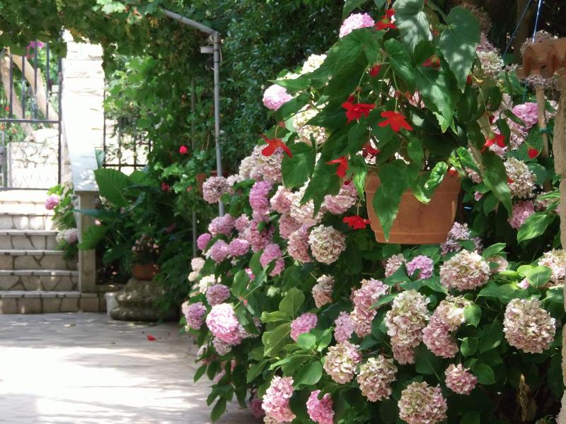 Apartments Beba - image 38