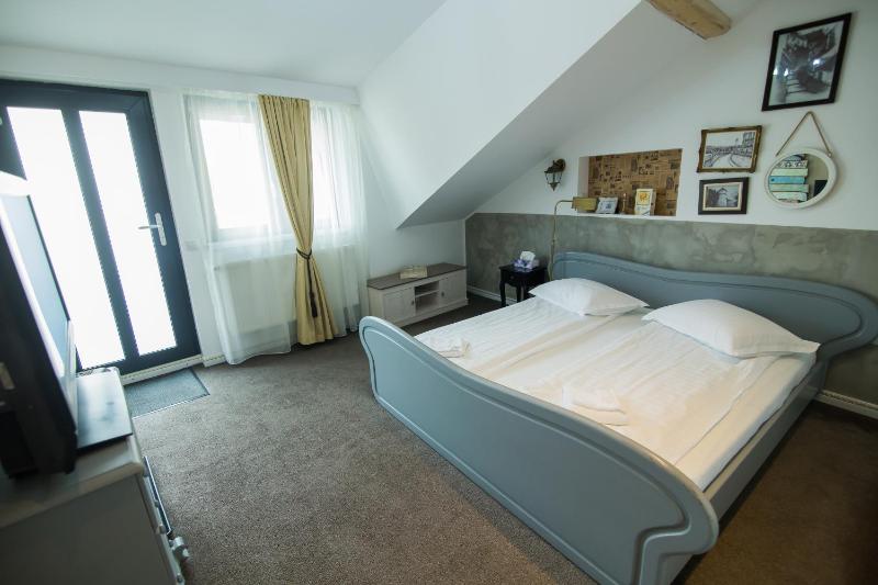 Vila Sibiu - image 23