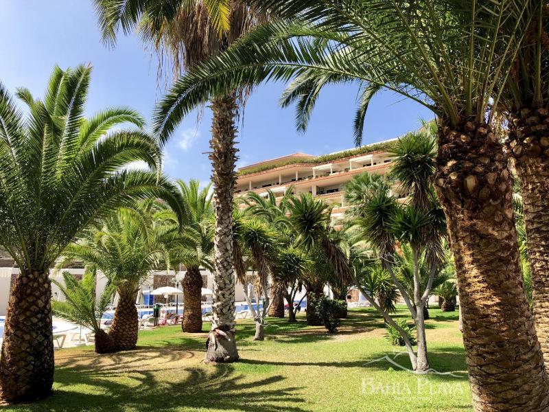 Apartamentos Bahia Playa - image 8