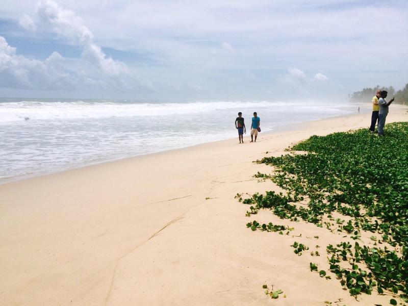 Orchard House Galle - image 6