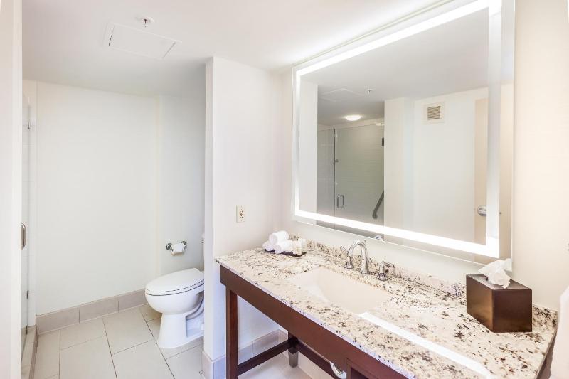 Deluxe Suite image 3