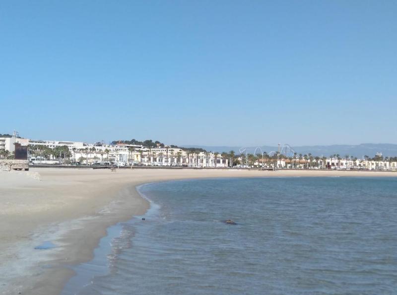 Studio Apartment with Sea View image 4