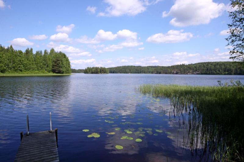 One-Bedroom Cottage with Lake View  image 3