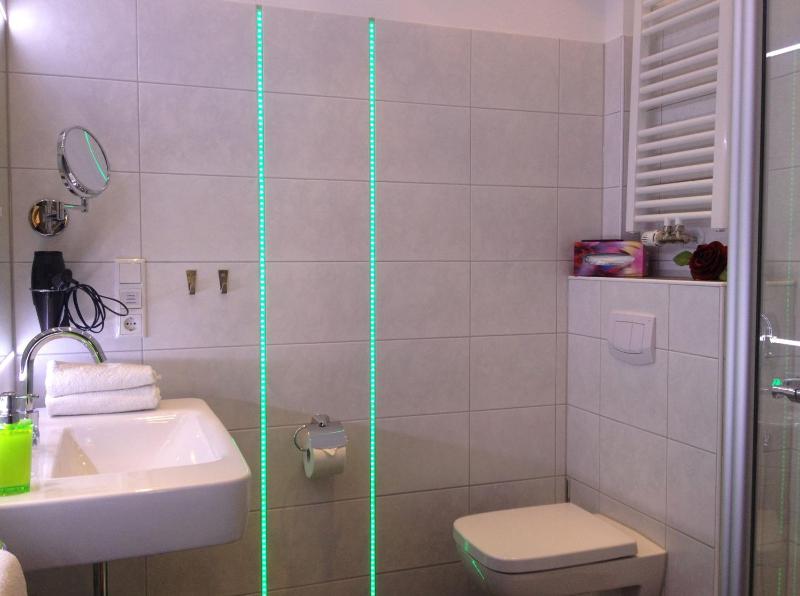 One-Bedroom Apartment image 2