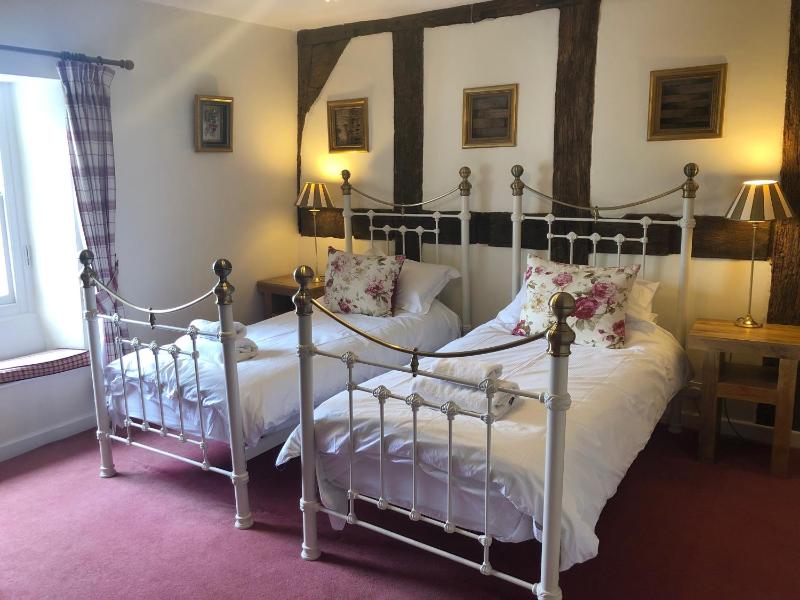 Deluxe Twin Room image 3