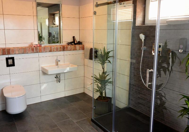 Deluxe Apartment image 4