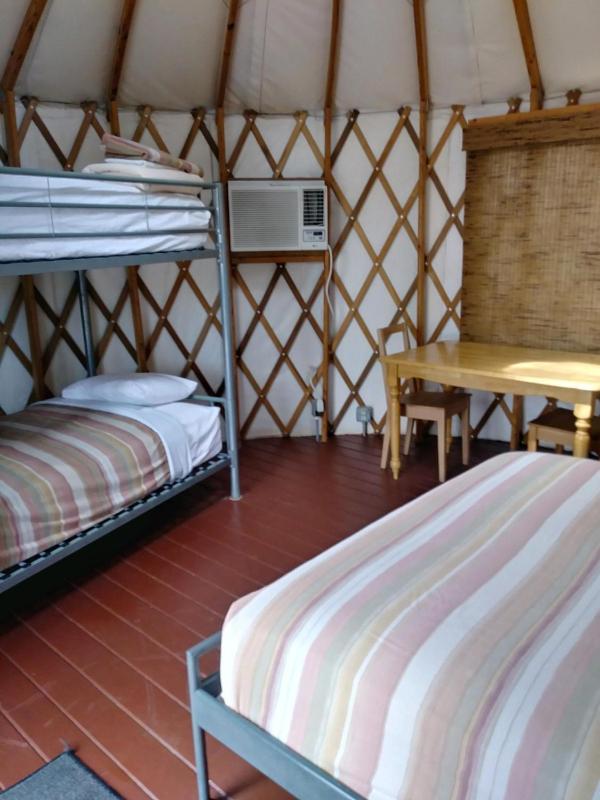 Yurt - 4 People - Pet Friendly image 1