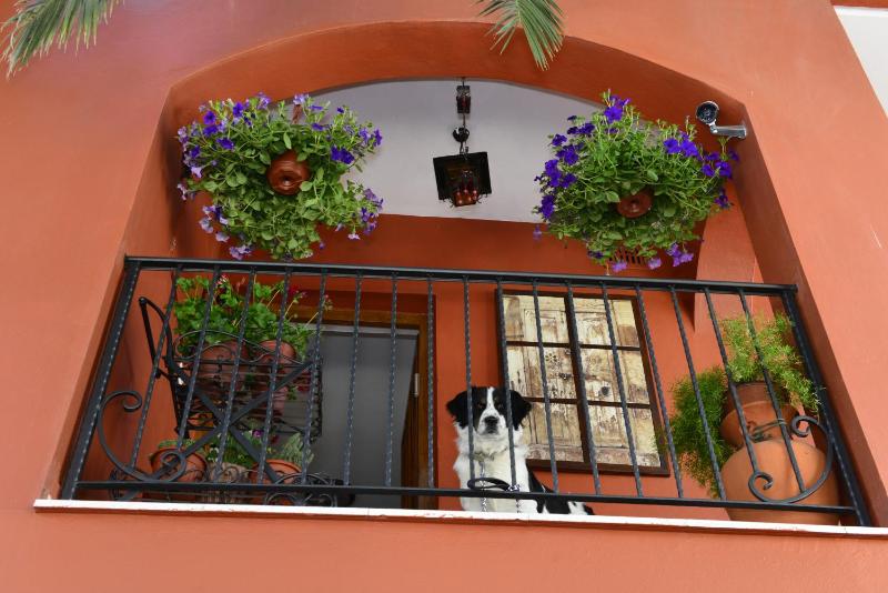 One-Bedroom Apartment with Terrace image 3